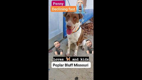 Penny Poplar Bluff Missouri