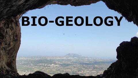 BIO-GEOLOGY 🐘 Petrified Titans (part 4 of 4)