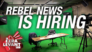 Rebel News is growing — want to join the team?