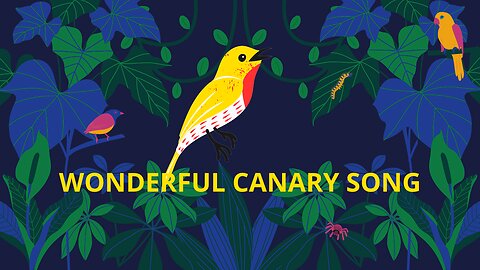 Wonderful canary song