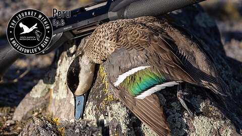 Waterfowl Hunting at 15,000 Feet | The Journey Within, South America Waterfowl Slam (Conclusion)