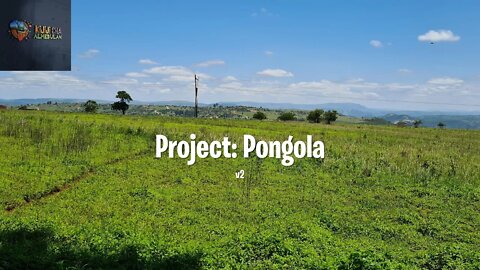 Zola Bantu Farming: Project Pongola by Kijiji Cha Alkebulan