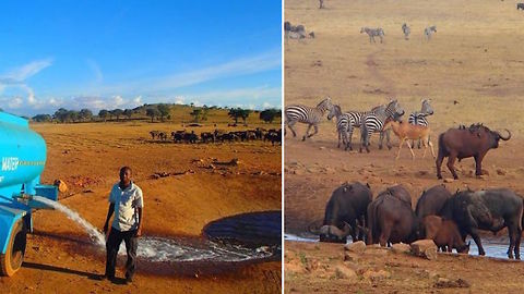 "The Waterman" Drives For Hours To Provide Water To Animals During Drought