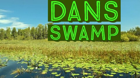 Dans Swamp episode7: MistaBlek