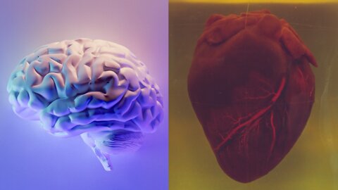 Head Vs. Heart Thinking | Prof. Paul Mills & Rev. Tiffany Barsotti