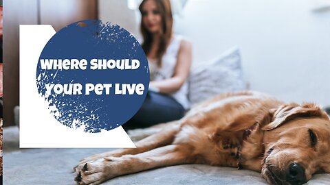 Where Should Your Pet Live