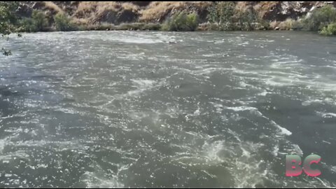 Girl, 8, and boy, 4, dead after getting swept away in strong California river current