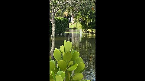 Flooding in South FL