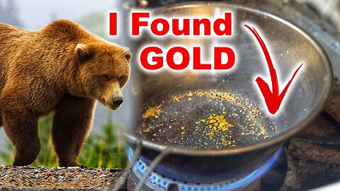 Bears Invaded This Claim & I Found Gold!!