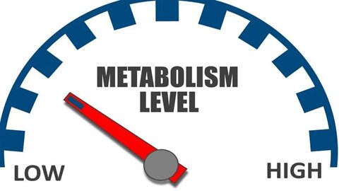 Slow Metabolism: That's 80% of Us Who are more "Virus" prone!!
