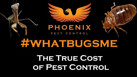 The True Cost of Pest Control #whatbugsme