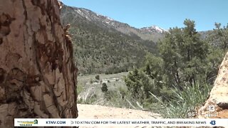 Mount Charleston