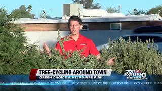 Christmas tree recycling reduces fire risk & helps environment