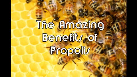 The Amazing Benefits of Propolis