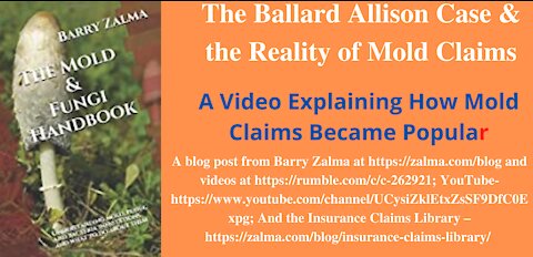 The Ballard Allison Case & the Reality of Mold Claims