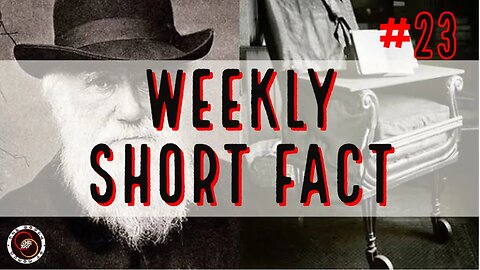 Weekly Short Fact | #23 | The World of Momus Podcast
