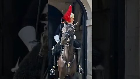 Their protest went wrong stand back from the kings life guard #horseguardsparade
