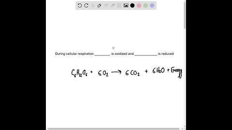 Choose the best answer for each question. During cellular respiration ________, is oxidized and ___