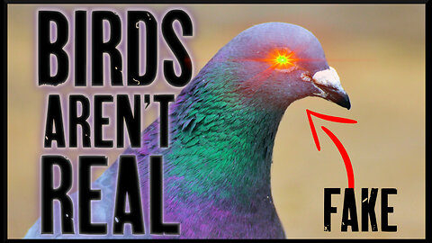The UNSETTLING Truth About Birds