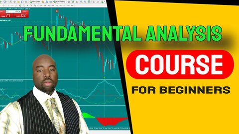 Fundamental Analysis Course For Forex Traders - Forex Trading For Beginners (Full Course)