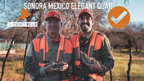 Elegant Quail Sonora: The Journey Within - A Bird Hunter's Diary | Mark Peterson Hunting