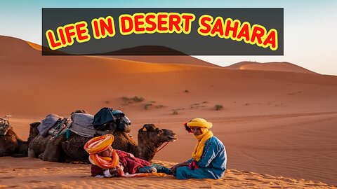 Faces Of Sahara Desert