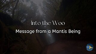 Into the Woo - Message from a Mantis Being