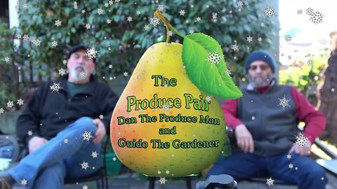 Season's Greetings from The Produce Pair!