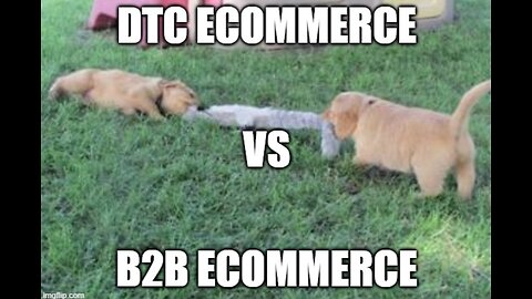 E288: OPTIMIZING ECOMMERCE FOR B2B & DTC HOLIDAY SALES, SUCCESSFULLY SCALING A DIGITAL CONSULTANCY