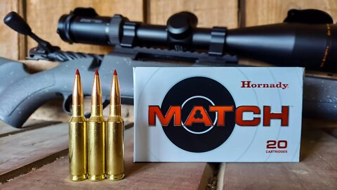 Weatherby Mark V Hunter + Hornady MATCH [Redemption Attempt]