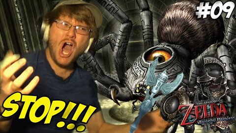 GUYS HELP, I'M ALMOST OUT OF TIME! NO? OKAY... || The Legend of Zelda: Twilight Princess (Part 9)