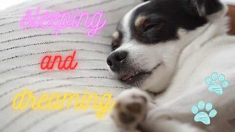 Sleeping and Dreaming (Dogs Series 1)