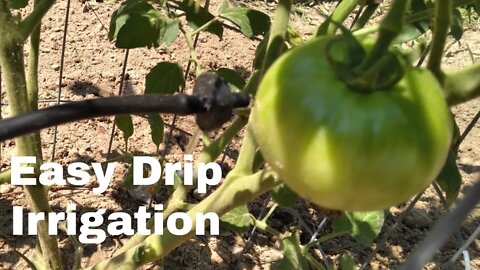 Easy Drip Irrigation.