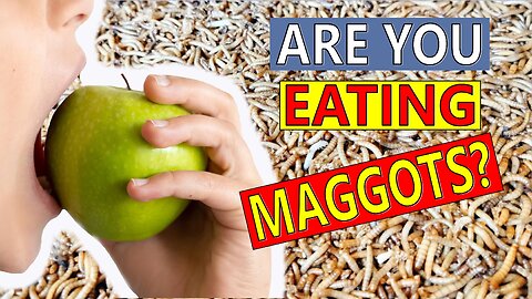 MOST People Eat Maggots. Are YOU one of them?