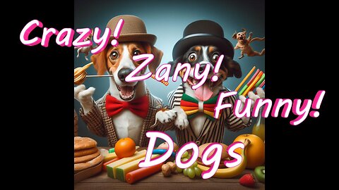 Crazy! Zany! Funny! Dogs and Their Loco Companions