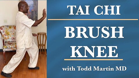 Tai Chi 24 Form Lesson 3 Brush Knee with Todd Martin MD