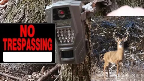 Trespassers, Big Bucks, and more surprises - Trail Camera Footage