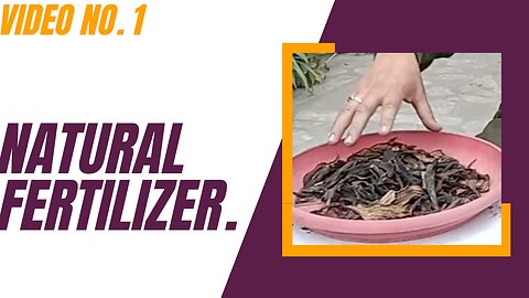 Unlock the Hidden Powers of Natural Fertilizer - You Won't Believe What Happens Next!