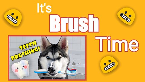Hilarious Husky Gets a Bath and Brush - Funny Dog Grooming Routine #huskylover #pet #dog #teeth