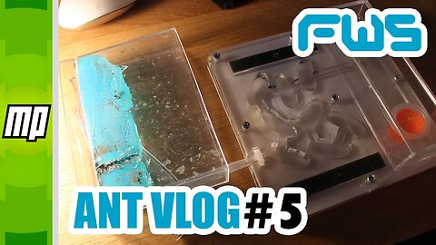 FWS - Ant Colony Vlog #5