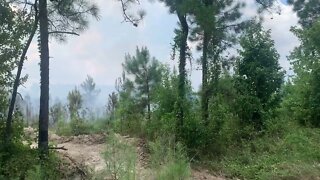 Forest Fire On Warren Prairie WMA On Saturday July 22nd 2022 ￼