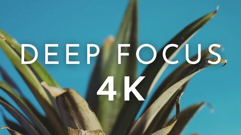 4k Concentration | 30 minutes deep focus music for reading and writing | 4K Resolution