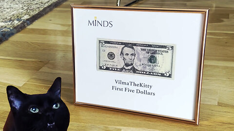 Vilma Cat First Five Dollars!
