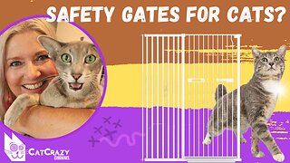 How to Keep Your Cat Safe When You Throw a Party!