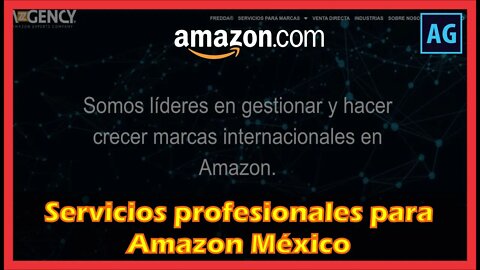 Servicios profesionales para vendedores de Amazon México