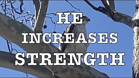 He Increases Strength - Isaiah 40: 28-29