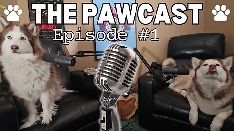 The Pawcast 🐾 | Ep#1