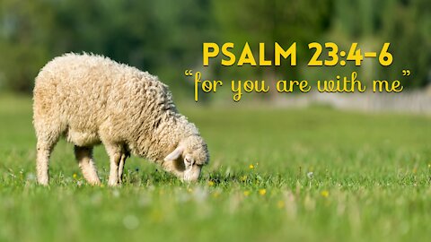 Sunday July 18, 2021 “For you are with me” (Psalm 23:4-6) – Pastor Ed Bailey