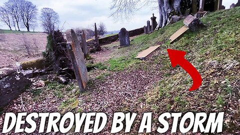 Headstones ripped up by tree roots | Roadside stop