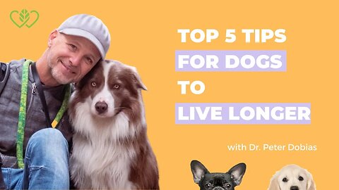 Top 5 Expert Tips: How to Help Your Dog Live a Long and Healthy Life | With Dr Peter Dobias
